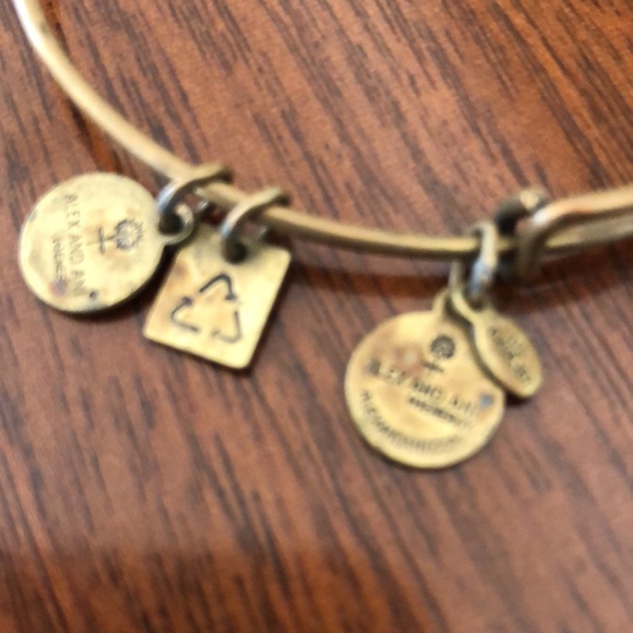 NWT Alex and Ani Women's Today Is An Opportunity charms Bangle Bracelet - Picture 5 of 7